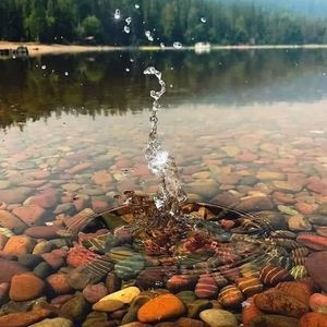 Meet your Posher, Dorian